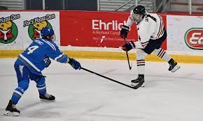 Top-seeded Peters Twp. survives feisty Plum