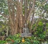 Forest Therapy India | Nature's beauty thrives everywhere ...