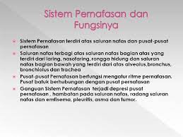 Simak penjelasan lengkapnya di sini. Tujuan Instruksional 1 Menjelaskan Sistem Pernafasan Dan Fungsi Fungsinya 2 Menjelaskan Jenis Jenis Obatt Obat Sistem Pernafasan Ppt Download