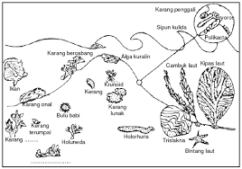 Dari webber dan thurman (1991). Perairan Darat Dan Laut