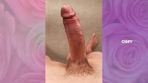 Cock Worship Feminization Hypno - (by: back-door-man)