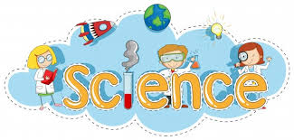 Science | Brierley Hill Primary School