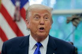 Lawyers news & latest pictures from Newsweek.com