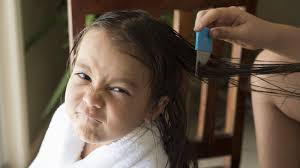 Well, the truth is, according to research, that black people can get lice but do not get lice as. Headlice Everything You Don T Want To Know