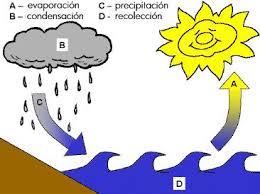 Océanos, ríos, mares, lagos, entre otros. 37 Ideas De El Ciclo Del Agua Ciclo Del Agua Agua Proyecto Agua