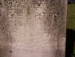 Alice Barbara Peffer Wilson (1858-1927)