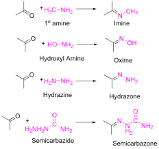 Imines are the nitrogen analogues of aldehydes and ketones, containing a c=n bond instead of a c=o bond. 19 8 Nucleophilic Addition Of Amines Imine And Enamine Formation Chemistry Libretexts