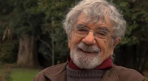 Maturana, fernando coddou placier, gloria kunstmann gallardo. H8wm5cybecwuhm