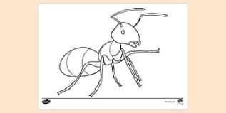 Great collection of free spiderman coloring pages! Free Realistic Spider Colouring Page Primary Resources