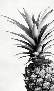 Ananas Selfie Poster Artboxone Poster Kuche Ananas Kunst Bilder