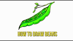 My roommate is a gumiho sell your haunted house: How To Draw A Beans Step By Step Guide For Beginners Child Drawing Kids Art 39 Youtube