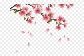 18 pink pastel wallpapers on wallpapersafari. Drawn Cherry Blossom Pastel Bunga Sakura Vector Png Clipart 2453034 Pikpng