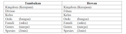 Check spelling or type a new query. Klasifikasi Makhluk Hidup Ide Engga S Site