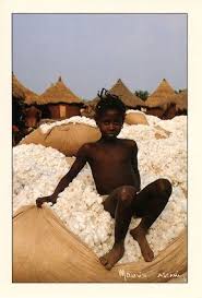Maurice Ascani Photographe Au Niger Niamey De La C Te D Ivoire World Cultures Culture African