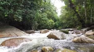 Hutan lipur ini juga sedim vista chalet resort, sedim recreation park, sedim, kedah, malaysia. Zeitraffer Wasserfluss Uber Felsen Am Sunnai Sedim Stock Footage Videos C Cloudyew Gmail Com 188128242 Depositphotos