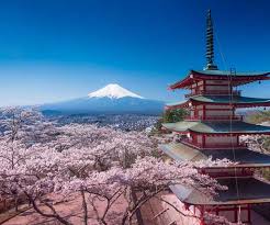 Mount Fuji Travel Guide Of Japan All You Want To Know Japan Holiday