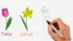 Flowers are the part of plant. List Of Flowers Names Of Flowers With Images Youtube