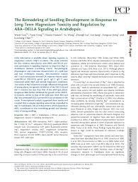 It meets all the essential criteria of iso 4 standard. Https Academic Oup Com Pcp Article Pdf 55 10 1713 17116881 Pcu102 Pdf