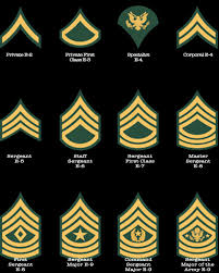 army nco rank yahoo search results army ranks army