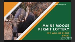 I have a love for all things paper. Maine Holds The 2020 Moose Hunt Lottery Live On Web Newscentermaine Com