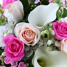 Check spelling or type a new query. Baby Girl Bouvardia Cut Flower Handtied Bouquet