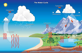 The higher the boiling point, the lower the rate of evaporation. The Water Cycle