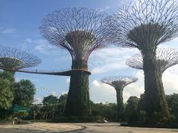 Super Tree Grove Gardens By The Bay Singapore Muurschildering