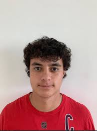 Pledge Class Profiles Quizlet Flashcards