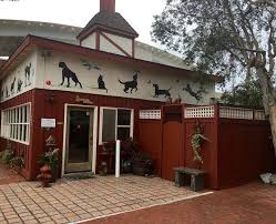 Our veterinarians provide routine care and treat a wide array of problems for most pets. Companion Pet Care Home Facebook