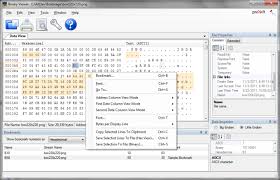 Binary Viewer Download