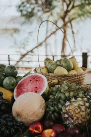 Cara Jourdan Four Seasons Costa Rica Aesthetic Food Costa Rica Four Seasons