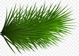 All png images can be used for personal use unless stated otherwise. Palm Tree Leaf Png Download 1500 1044 Free Transparent Watercolor Painting Png Download Cleanpng Kisspng