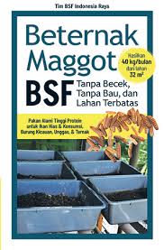 Orang jepang tertarik budidaya maggot griya maggot pemalang gmp. Agromedia 7 Alasan Budi Daya Maggot Bsf Di Lahan Sendiri Agromedia