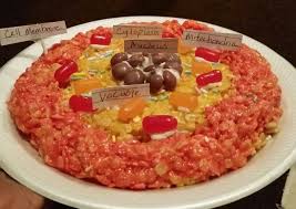 Maybe you would like to learn more about one of these? Edible Rice Crispy Treat Animal Cell Project Cells Project Animal Cell Project Plant Cell Project