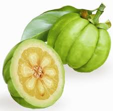 Garcinia Cambogia Extract at ₹ 1150/kilogram | Garcinia Extract in New  Delhi | ID: 9137639673