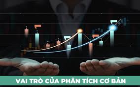 Phân tích cơ bản là gì? Các phương pháp phân tích cơ bản phổ biến - Tikop.vn