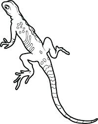 There are tons of great resources for free printable color pages online. Gecko Coloring Pages Best Coloring Pages For Kids