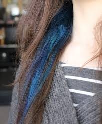 We love seeing the pictures of all your blue streaks, and are so grateful for all who took part to help raise awareness and show support for the #t1d community. Image Result For Blue Hair Streaks In Brown Hair Brown Hair Images Hair Streaks Blue Hair Streaks