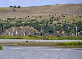 We did not find results for: Missouri River Canoe Expedition Sierra Club Outings