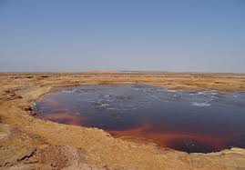 Biological Organization From Smallest To Largest That The Students Can Expect To Find At The Pond Gaet Ale Pond In 2020 Pond Ale Water