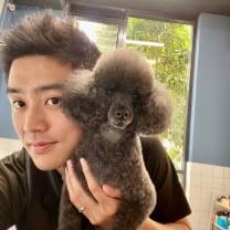 Pet Sitters North Bruny TAS