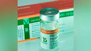 Essa é a 1ª vacina brasileira contra a doença causada pelo coronavírus. Covid Instituto Butantan Divulga A Bula Da Vacina Coronavac Cotidiano Acidade On Ribeirao