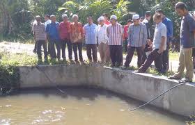 We did not find results for: Penduduk Ternak 11 000 Ikan Kelah Patin