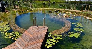 Natural Pool Ideas On Home Backyard 52 Jpg 840 448 Schwimmbad Designs Naturschwimmbecken Kleiner Pool Design