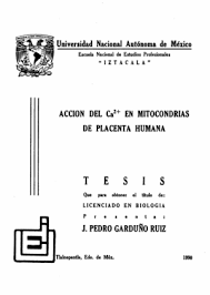 Repositorio Institucional de la UNAM