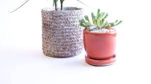 Plant Saucers When Does Your Planter Need A Saucer Sunset Sunset Magazine