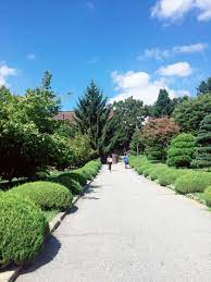 Chungbuk National University Campus University Campus Campus University