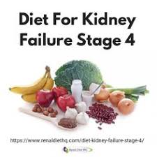 Check spelling or type a new query. 39 Kidney And Diabetic Recipes Ideas Kidney Recipes Kidney Friendly Foods Renal Diet Recipes
