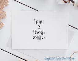 pig」と「hog」の違い(difference)とは？英語を分かりやすく解釈 | ETAF-English Taste And Flavor