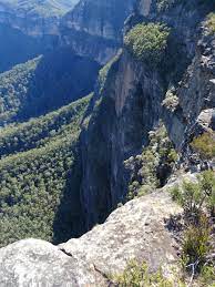 Directed by john lee hancock. Mount Banks Fire Trail Mountain Bike Trails Thingstodo Info Blue Mountains